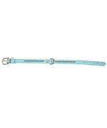collier pour petit chien bleu avec strass
