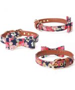 dog collar with bow