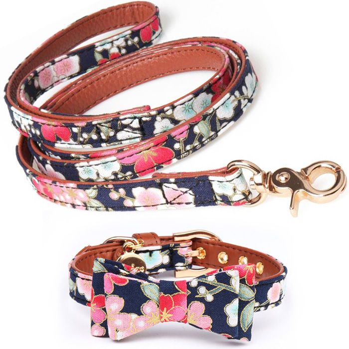 conjunto elegante de correa y collar para perros