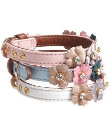 Collar for dog - Strass and Flowers