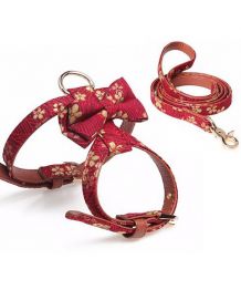 Harness and leash set for dog and cat with knot - red