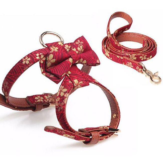 harness and leash set with bow