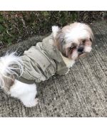 Manteau pour chien shitzu