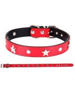 collier pour chien avec etoiles