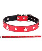 dog collar with stars