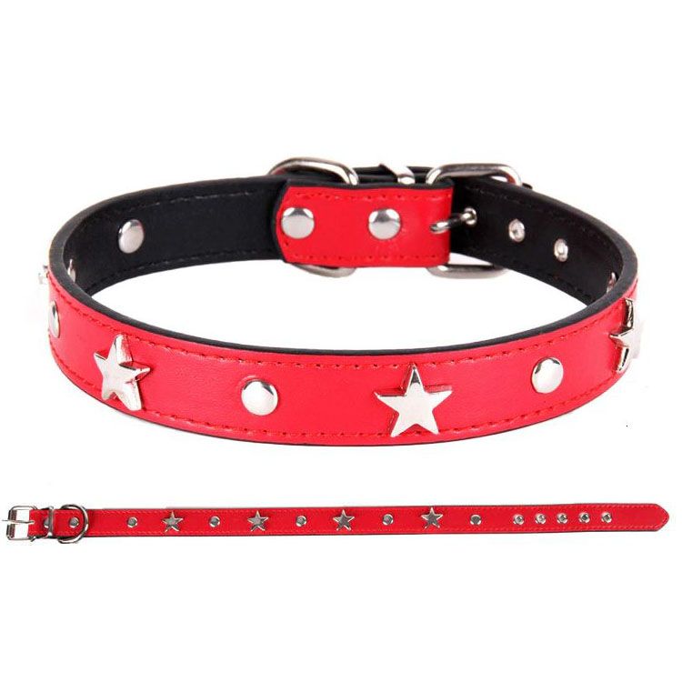 dog collar with stars