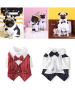 tuxedo for dogs