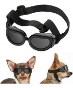 Sunglasses for small dog boutique Maw Love