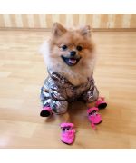 ropa para spitz