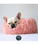 lit pour bouledogue francais
