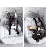 french bulldog basket