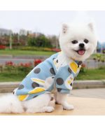 adorable sweater for spitz