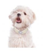 Collar de perlas de 4 hileras con pedrería blanca para perros y gatos entrega en tienda en parís, lyon, orléans, estrasburgo,