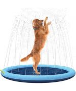 piscine pour grand chien