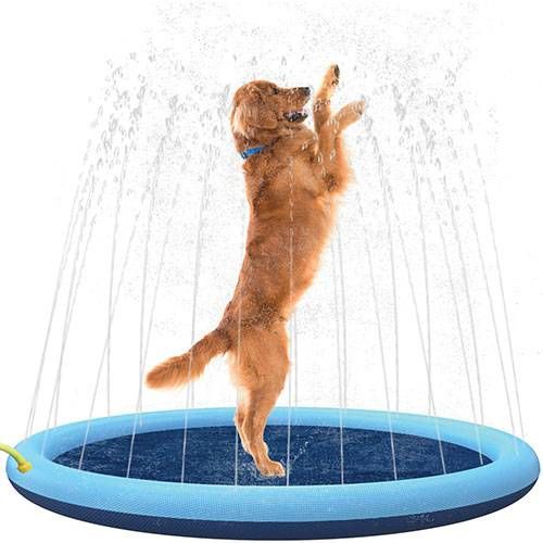 gran piscina para perros