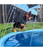 piscina para perros pequeños