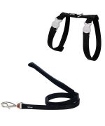Special harness and cat Leash Red