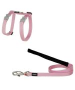 Special harness and cat Leash Red