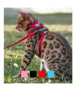 Special harness and cat Leash Red