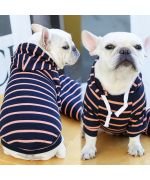sweatshirt for french bulldog