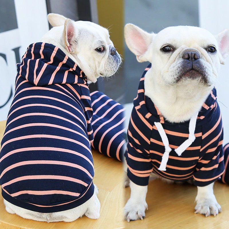sudadera para bulldog francés