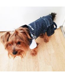 Overalls for dogs striped marine style