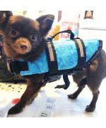 chaleco salvavidas para chihuahua
