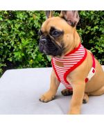 Arnés rojo para perros chaqueta de arnés para mascotas razas pequeñas y grandes tienda de mascotas en línea