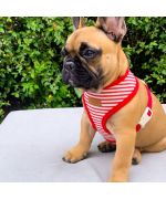 harness dog red harness vest for small animals large breed pet shop online