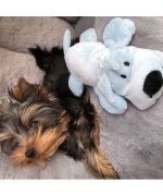 plush dog with noisemaker small dog multi-colored pastels original gift cuddly toy for dog cat Guadeloupe Martinique