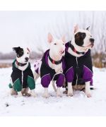 Manteau hiver pour grand chien