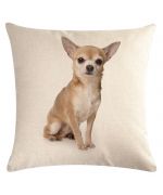 cushion chihuahua