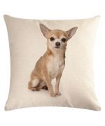 coussin chihuahua