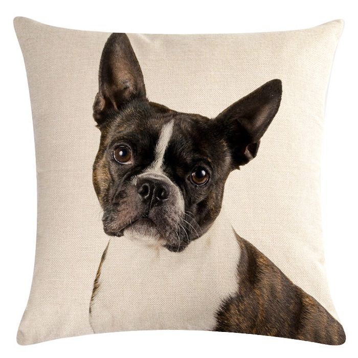 boston terrier cushion