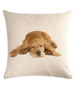 cushion cocker spaniel.jpg