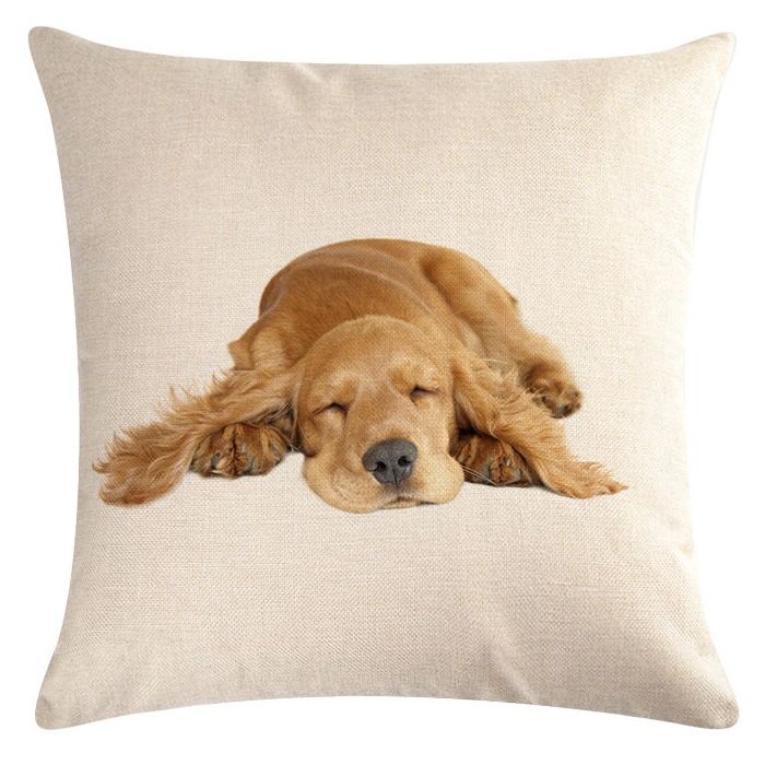 cushion cocker spaniel.jpg