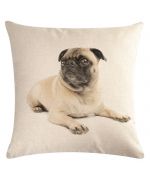 Pug cushion