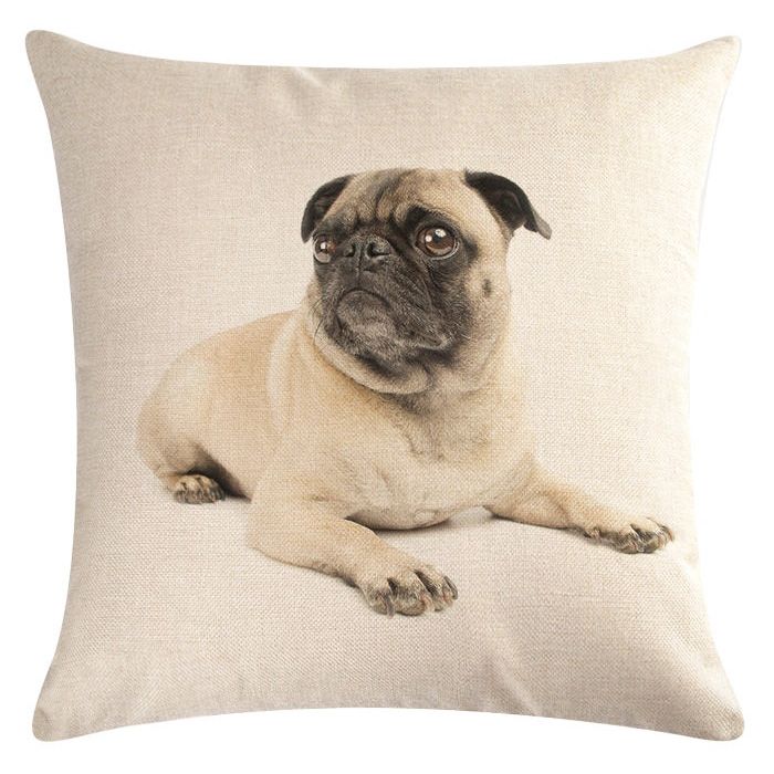 Pug cushion