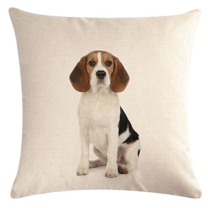 beagle cushion