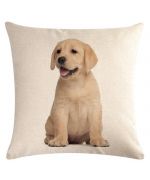 baby labrador cushion