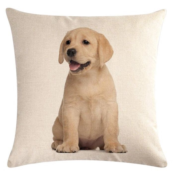 baby labrador cushion