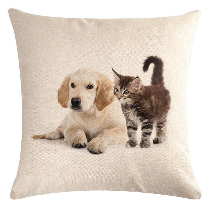 dog and cat cushion