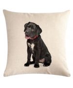 cushion for labrador