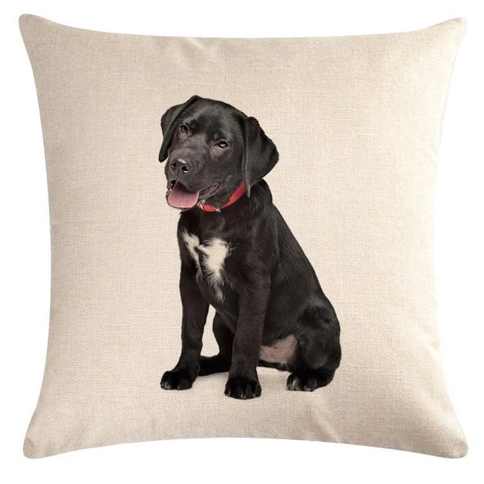 coussin pour labrador