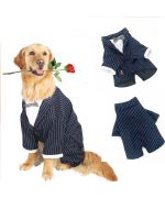 ropa de boda para perros