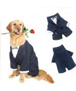 wedding clothes for dogs