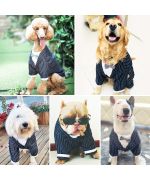 habit de mariage pour chien