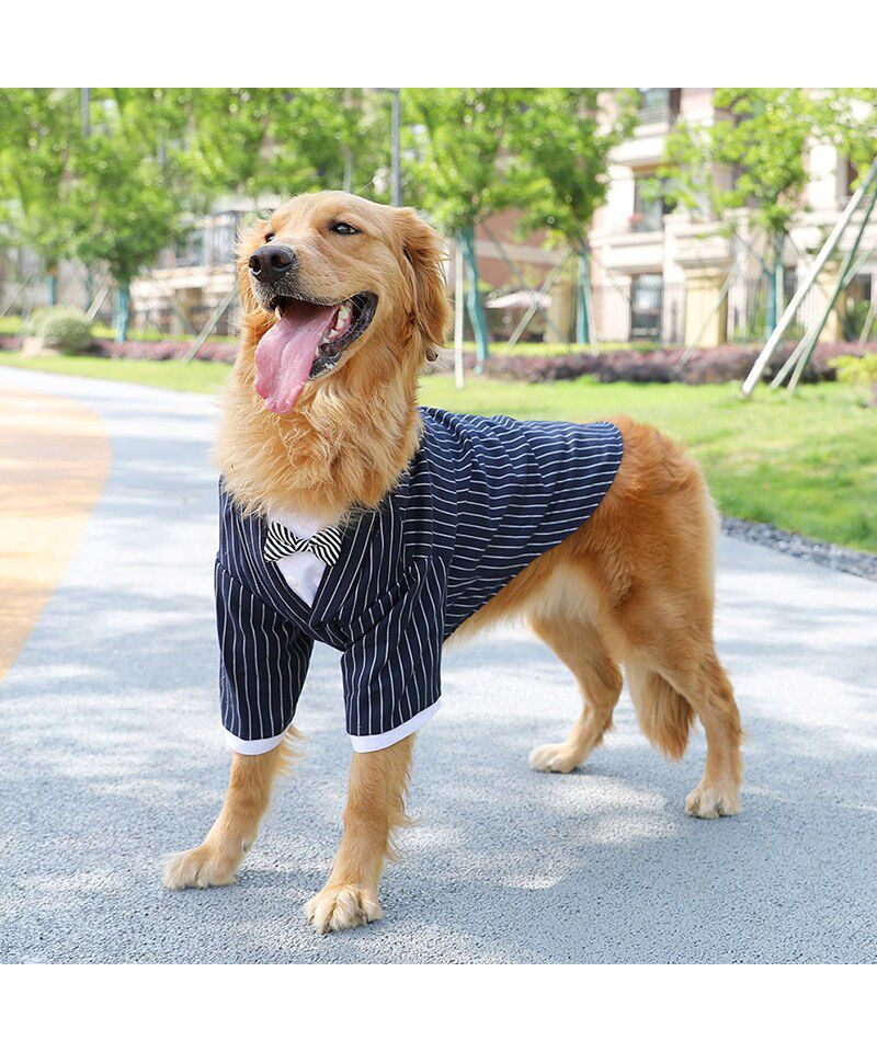 Get Rid of tuxedo history Once and For All