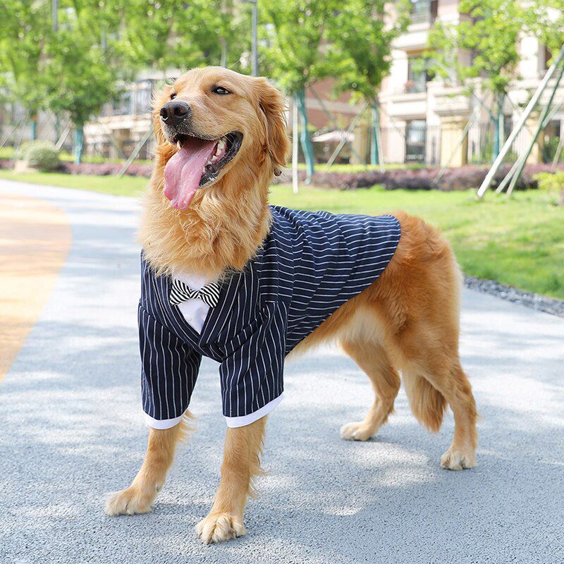 Ropa navideña para perros grandes.