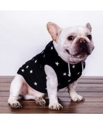 french bulldog clothes